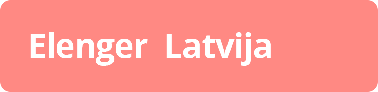 elenger latvija LNG and natural gas solutions